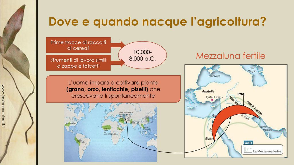 La Rivoluzione Neolitica Ppt Scaricare